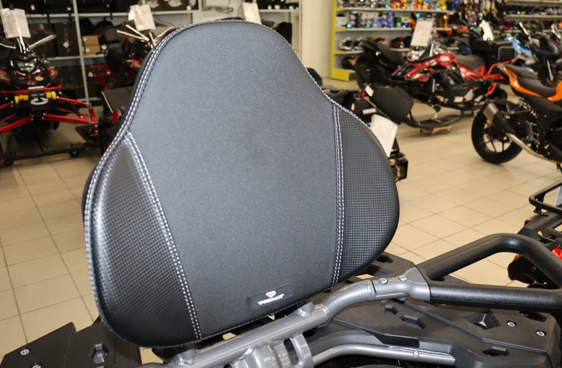 Квадроцикл PROMAX RENEGADE 300 LONG WINCH PRO (2025) в Стерлитамаке