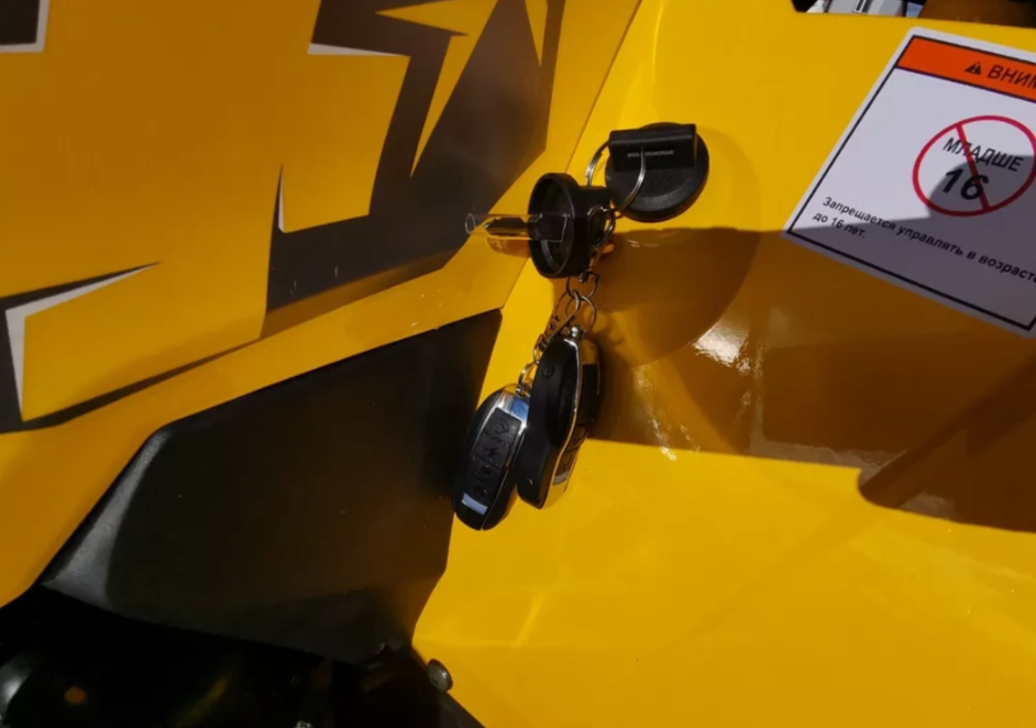 Квадроцикл MOTOLAND (МОТОЛЕНД) VOX200 WILD TRACK X PRO (баланс. вал) в Стерлитамаке