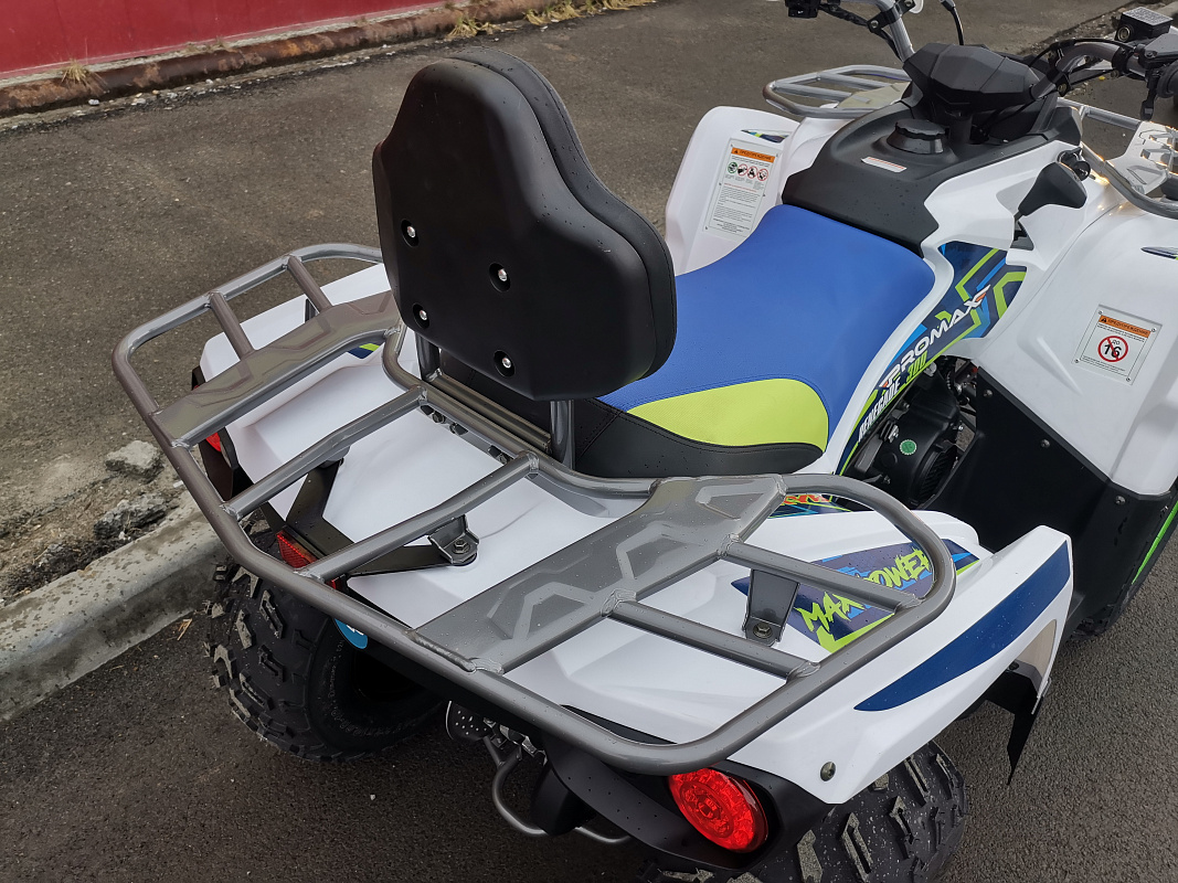 Квадроцикл PROMAX RENEGADE 280 LUX (2025) в Стерлитамаке