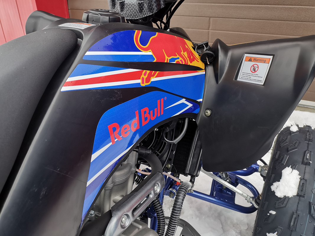 Квадроцикл PROMAX RAPTOR 300 NEW RedBull в Стерлитамаке