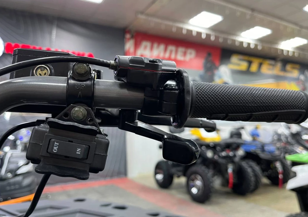 Квадроцикл PROMAX RENEGADE 300 LONG WINCH PRO (2025) в Стерлитамаке