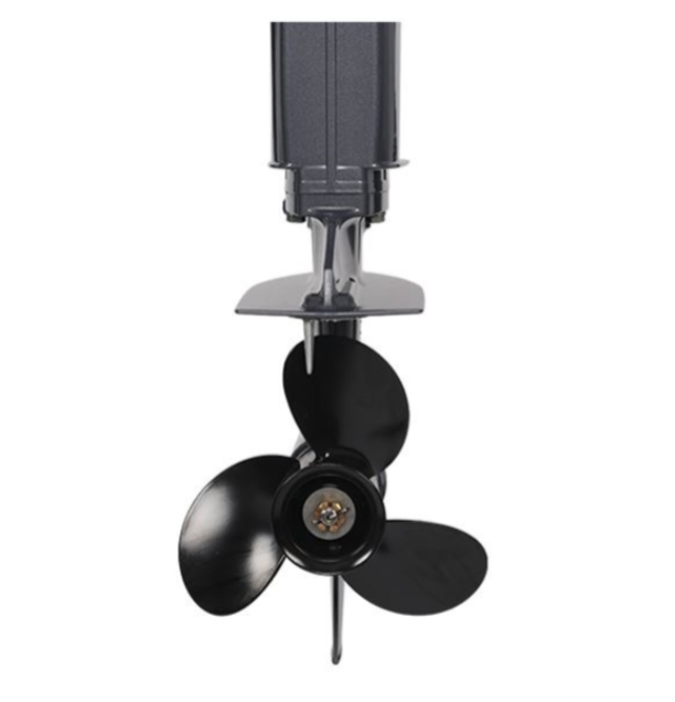 Лодочный мотор ALLFA CG Т40FW S в Стерлитамаке