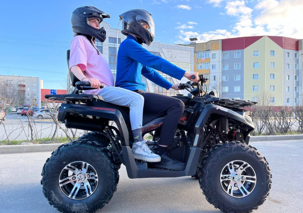 Квадроцикл PROMAX RENEGADE 300 LONG WINCH PRO (2025) в Стерлитамаке