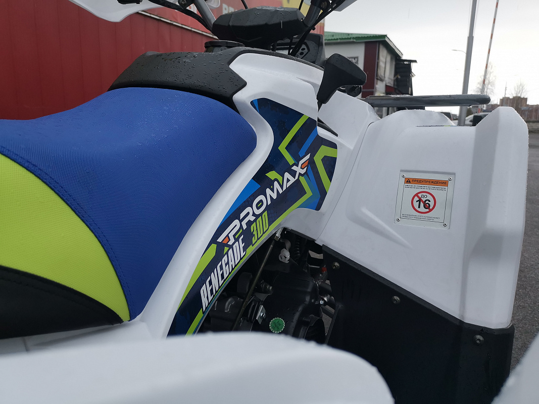 Квадроцикл PROMAX RENEGADE 280 LUX (2025) в Стерлитамаке
