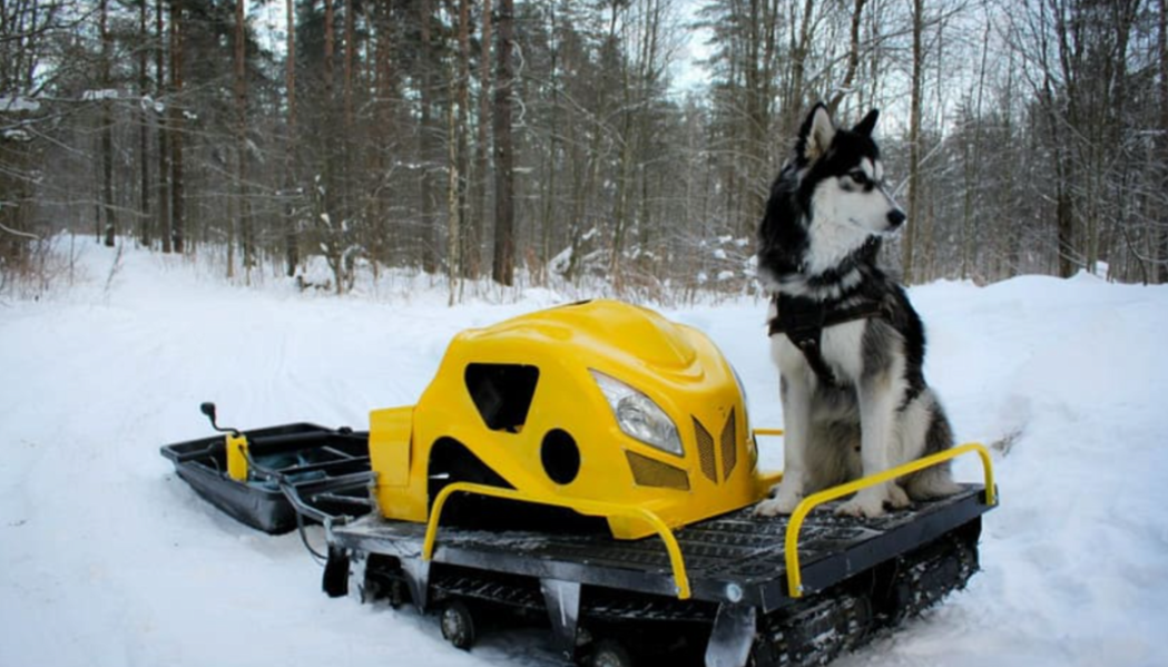 Мотобуксировщик LEBEDEV MOTORS ВОЛКОДАВ POWER V13 в Стерлитамаке