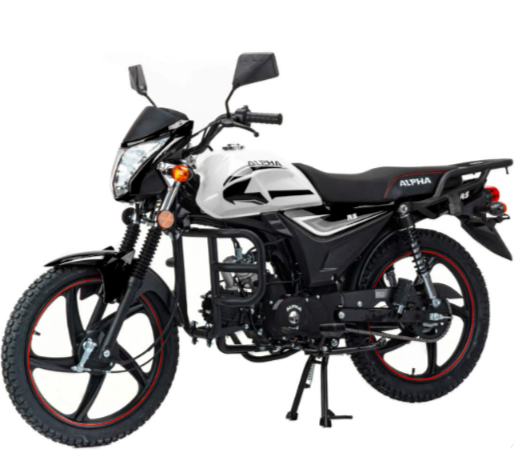 Мопед MOTOLAND (МОТОЛЕНД) Альфа RS 11 (LM48-B) в Стерлитамаке