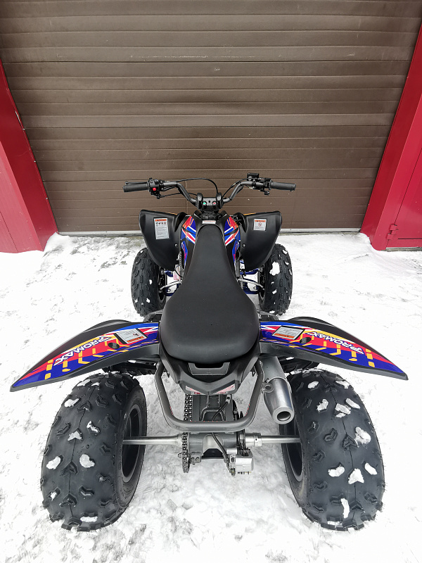 Квадроцикл PROMAX RAPTOR 300 NEW RedBull в Стерлитамаке