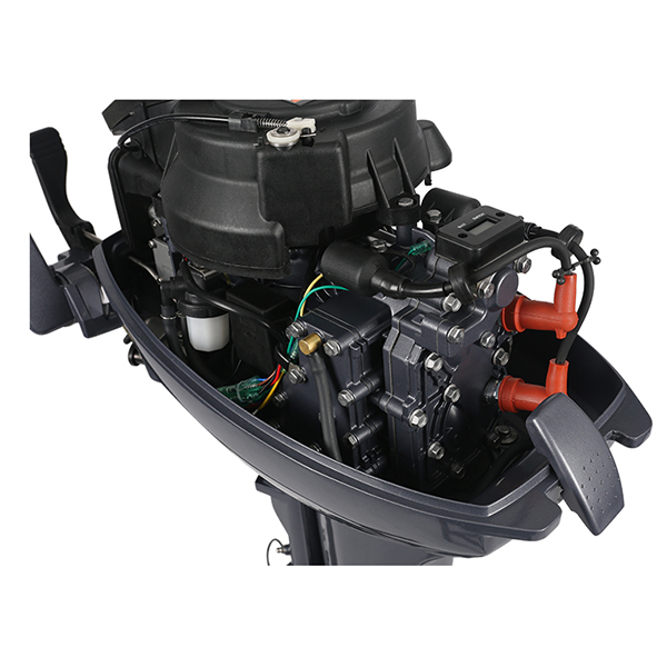 ЛОДОЧНЫЙ МОТОР ALLFA CG Т9,9 в Стерлитамаке