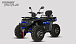 Квадроцикл PROMAX TAURUS 300 MAX-PRO LONG в Стерлитамаке