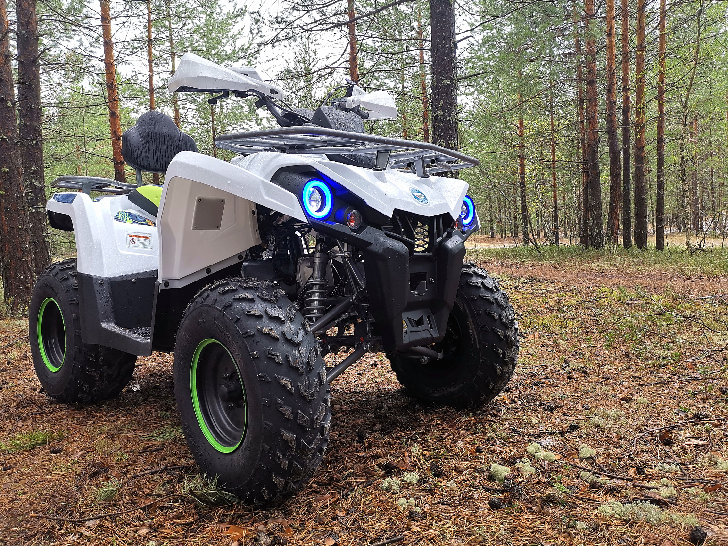 Квадроцикл PROMAX RENEGADE 280 (2025) в Стерлитамаке