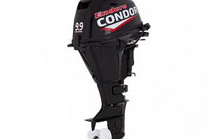 Аналог мотора YAMAHA F20BMHS)