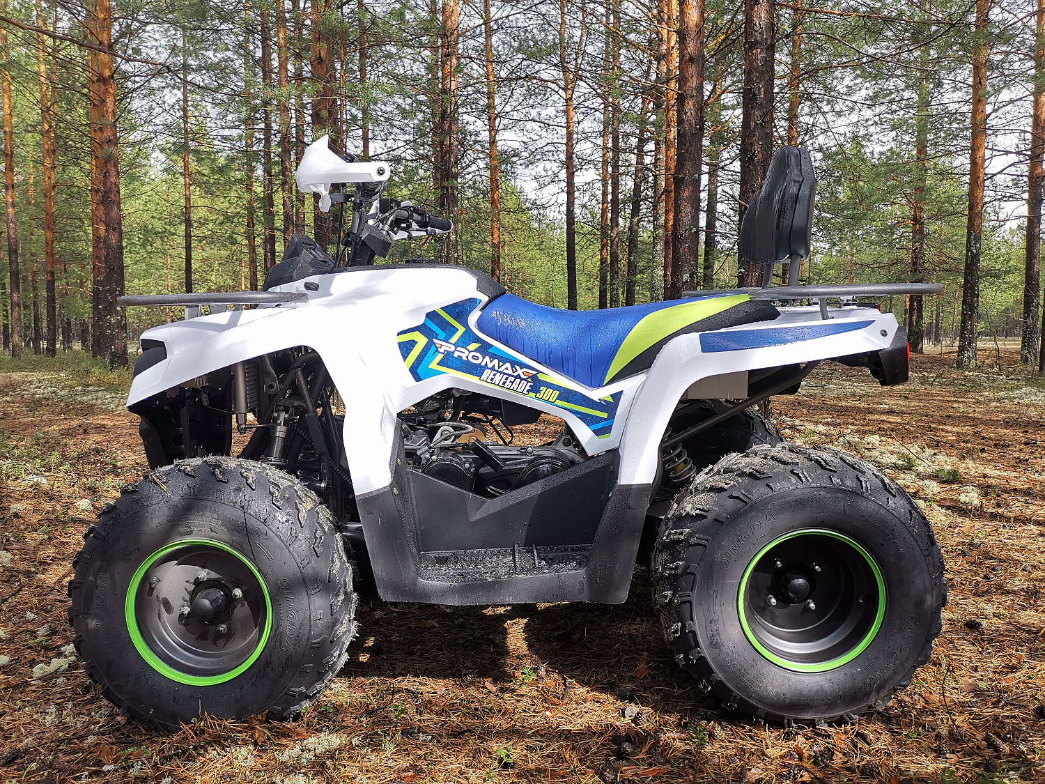Квадроцикл PROMAX RENEGADE 280 (2025) в Стерлитамаке