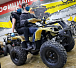 Квадроцикл PROMAX ATV 250 (2025) в Стерлитамаке