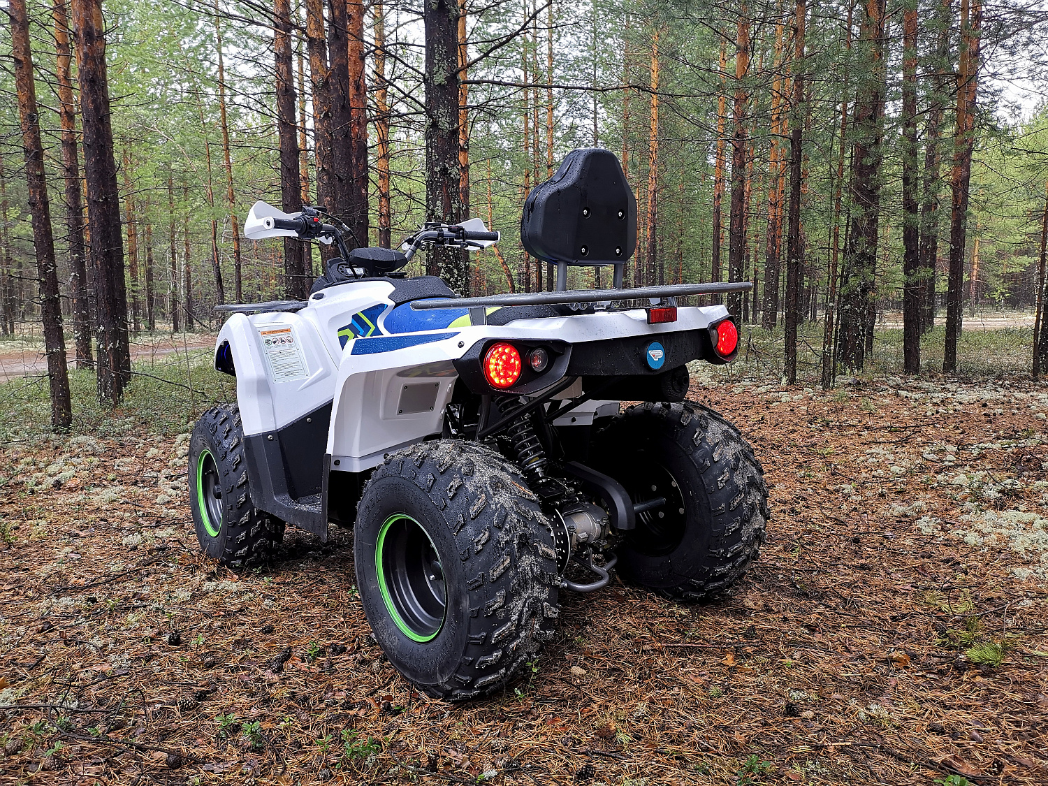 Квадроцикл PROMAX RENEGADE 280 (2025) в Стерлитамаке