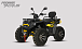 Квадроцикл PROMAX TAURUS 300 MAX-PRO LONG в Стерлитамаке